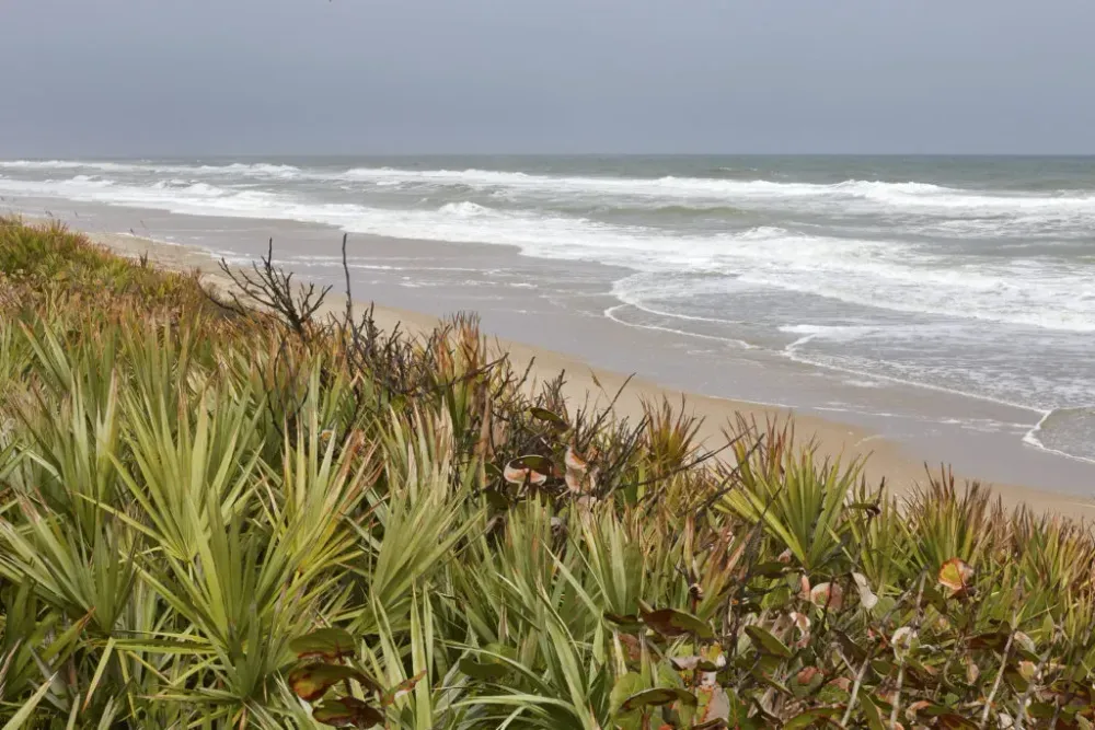 Canaveral National Seashore, Florida